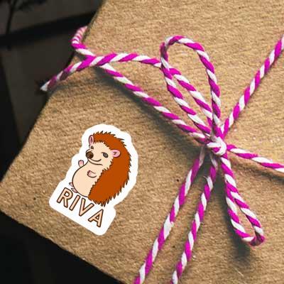 Hérisson Autocollant Riva Gift package Image