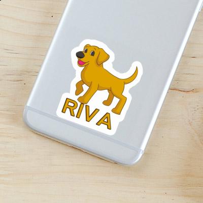 Sticker Labrador Riva Notebook Sticker Labrador Riva Gift package Image