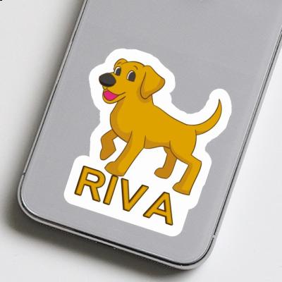 Riva Autocollant Chien Notebook Riva Autocollant Chien Gift package Image