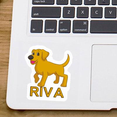 Sticker Labrador Riva Notebook Sticker Labrador Riva Gift package Image