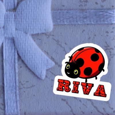 Coccinelle Autocollant Riva Notebook Image