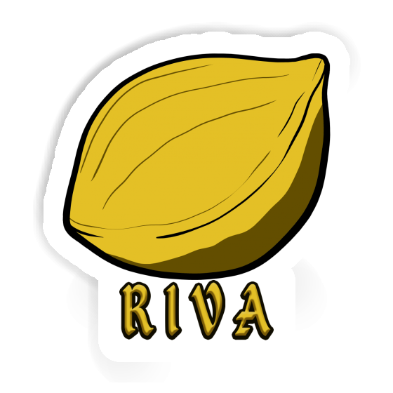 Riva Autocollant Noix Notebook Riva Autocollant Noix Gift package Image