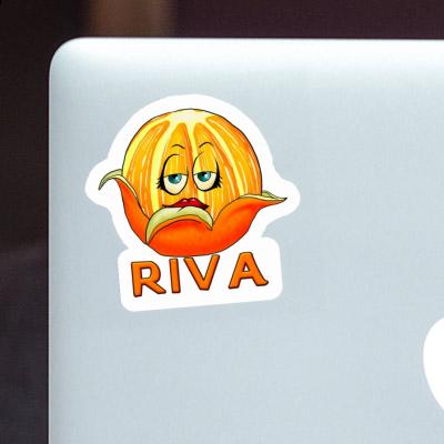 Sticker Orange Riva Notebook Sticker Orange Riva Gift package Image
