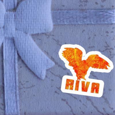 Autocollant Riva Hibou Notebook Autocollant Riva Hibou Gift package Image