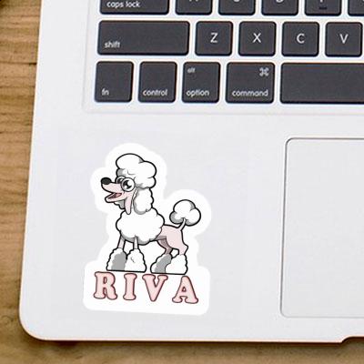 Aufkleber Pudel Riva Notebook Aufkleber Pudel Riva Gift package Image
