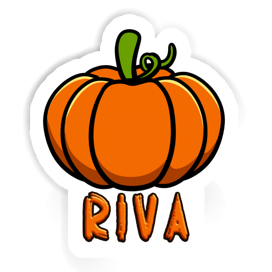 Autocollant Riva Courge Notebook Autocollant Riva Courge Notebook Image