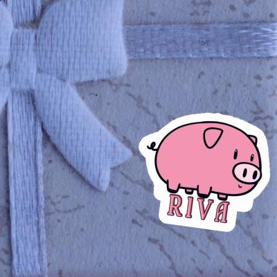 Cochon Autocollant Riva Laptop Image