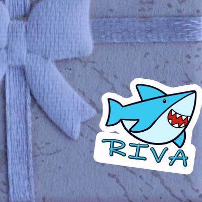 Autocollant Requin Riva Gift package Image