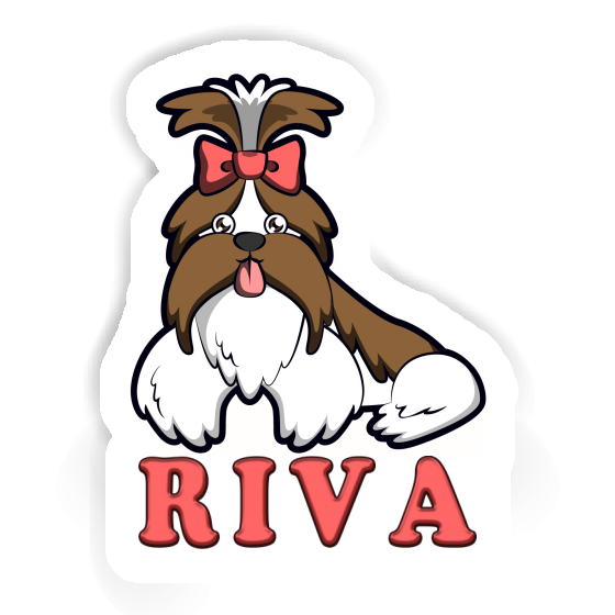 Shih Tzu Autocollant Riva Laptop Shih Tzu Autocollant Riva Laptop Image