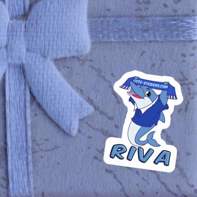 Autocollant Dauphin Riva Gift package Image