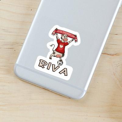 Kuh Sticker Riva Notebook Kuh Sticker Riva Gift package Image