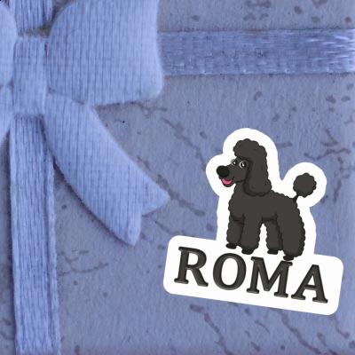 Sticker Roma Poodle Notebook Image