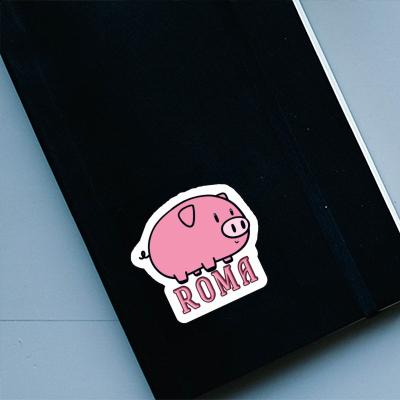 Sticker Roma Pig Laptop Image