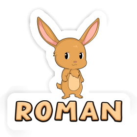Roman Sticker Rabbit Image