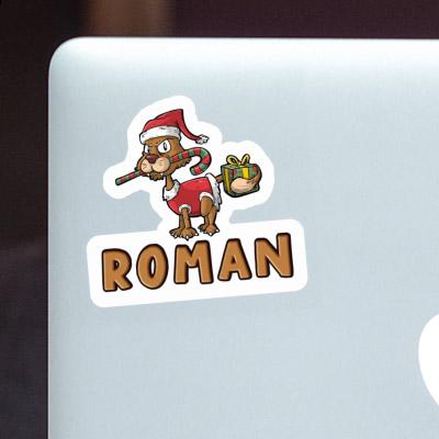 Roman Autocollant Chat Gift package Image