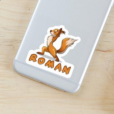 Aufkleber Roman Yoga-Eichhörnchen Notebook Aufkleber Roman Yoga-Eichhörnchen Gift package Image