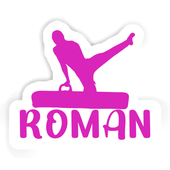 Roman Sticker Turner Laptop Roman Sticker Turner Laptop Image