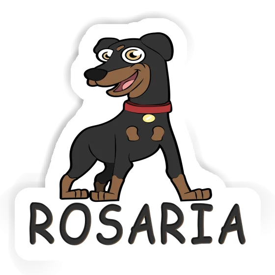 Pinscher Aufkleber Rosaria Notebook Pinscher Aufkleber Rosaria Gift package Image