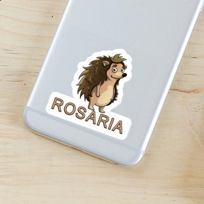 Igel Aufkleber Rosaria Notebook Igel Aufkleber Rosaria Gift package Image