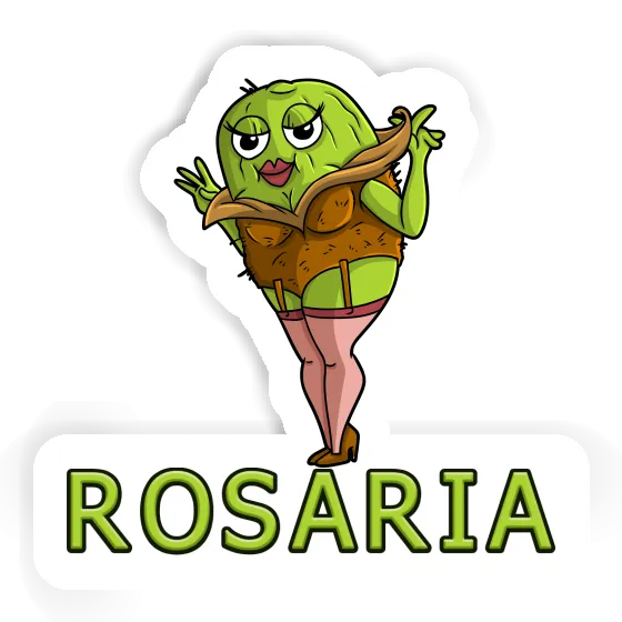 Sticker Kiwi Rosaria Notebook Image