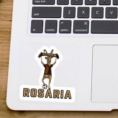 Aufkleber Steinbock Rosaria Notebook Aufkleber Steinbock Rosaria Notebook Image