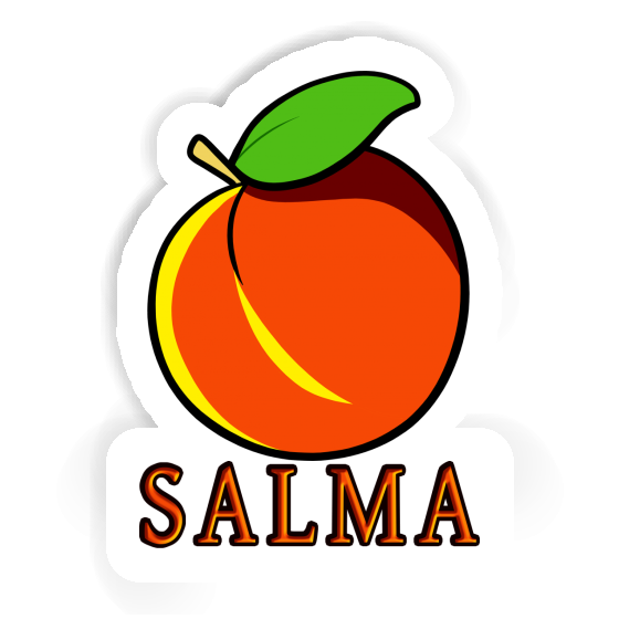 Apricot Sticker Salma Gift package Image