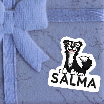 Collie Autocollant Salma Collie Autocollant Salma Image