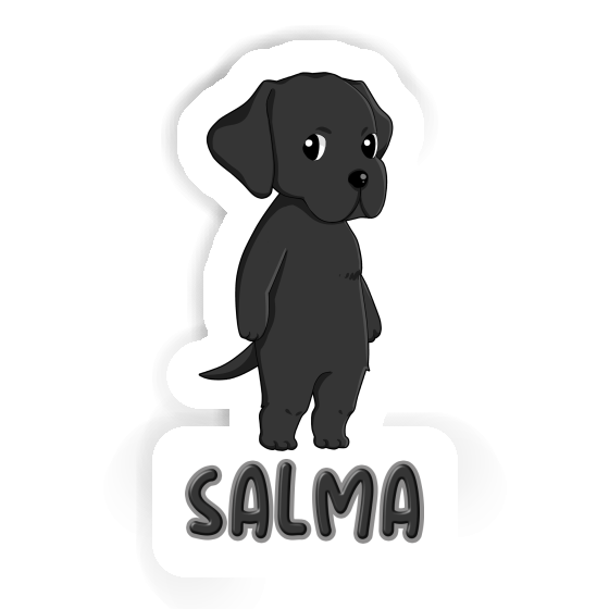 Salma Autocollant Labrador Gift package Image