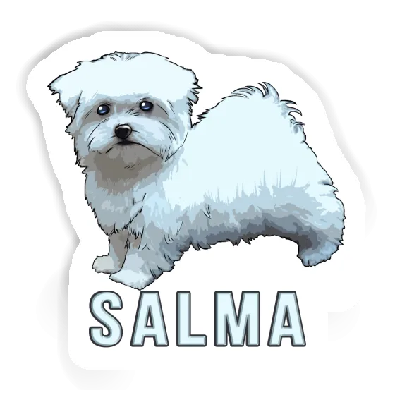 Autocollant Salma Bichon maltais Laptop Autocollant Salma Bichon maltais Laptop Image