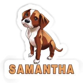 Samantha Sticker Boxer Image