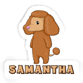 Pudel Aufkleber Samantha Image