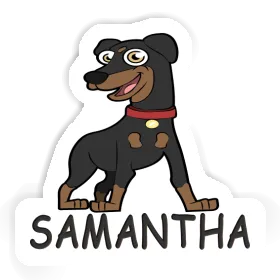 Sticker Pinscher Samantha Image