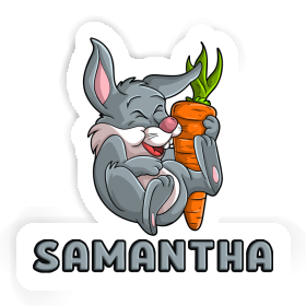 Autocollant Samantha Lapin Image