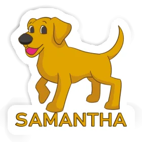 Sticker Samantha Labrador Image