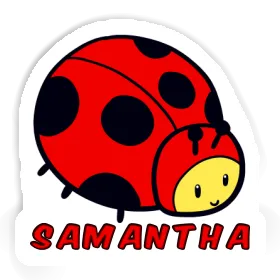 Samantha Sticker Ladybug Image
