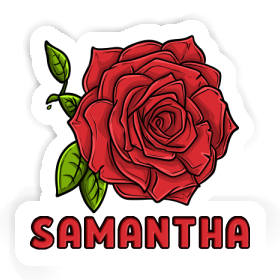 Rose Autocollant Samantha Image