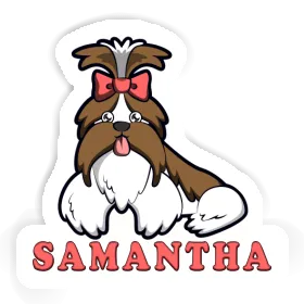 Shih Tzu Sticker Samantha Image