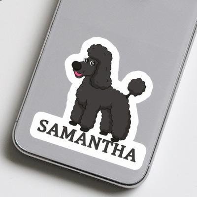 Sticker Samantha Poodle Notebook Sticker Samantha Poodle Gift package Image