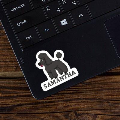 Sticker Samantha Poodle Laptop Sticker Samantha Poodle Laptop Image