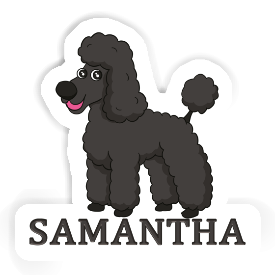 Sticker Pudel Samantha Gift package Image