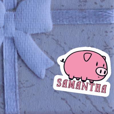 Samantha Autocollant Cochon Notebook Samantha Autocollant Cochon Notebook Image