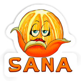Orange Autocollant Sana Image
