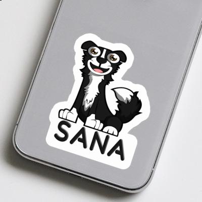 Autocollant Sana Border Collie Notebook Autocollant Sana Border Collie Gift package Image