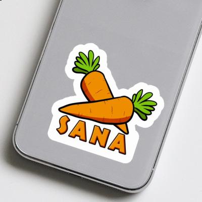 Autocollant Carotte Sana Notebook Image