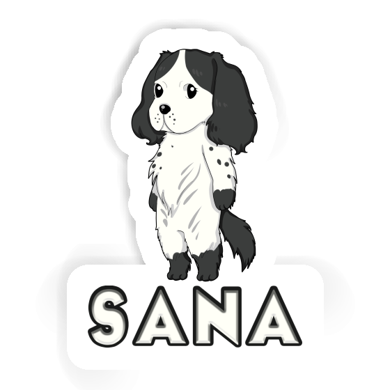 Épagneul Autocollant Sana Gift package Image
