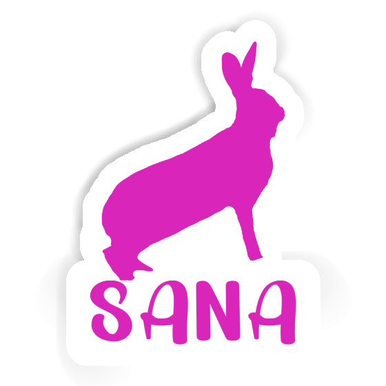Autocollant Lapin Sana Notebook Autocollant Lapin Sana Gift package Image
