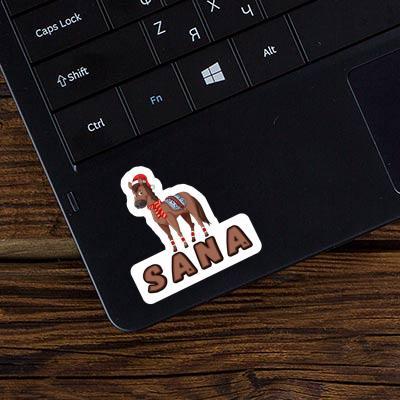 Pferd Aufkleber Sana Notebook Pferd Aufkleber Sana Gift package Image