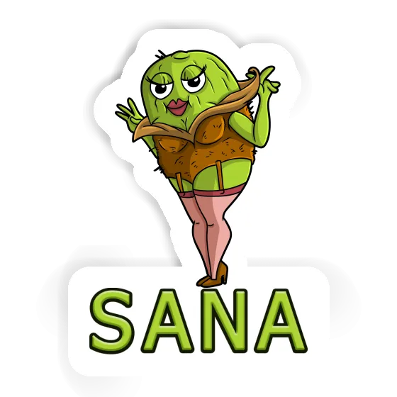 Autocollant Sana Kiwi Notebook Autocollant Sana Kiwi Gift package Image