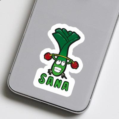 Sticker Leek Sana Gift package Image