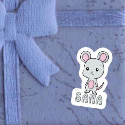 Autocollant Sana Souris Gift package Image